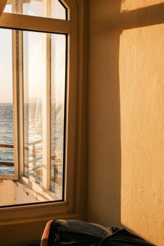 pexels-monurblc-37101936